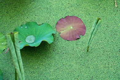 传《刺客信条：代号RED》现代故事设定在2090年